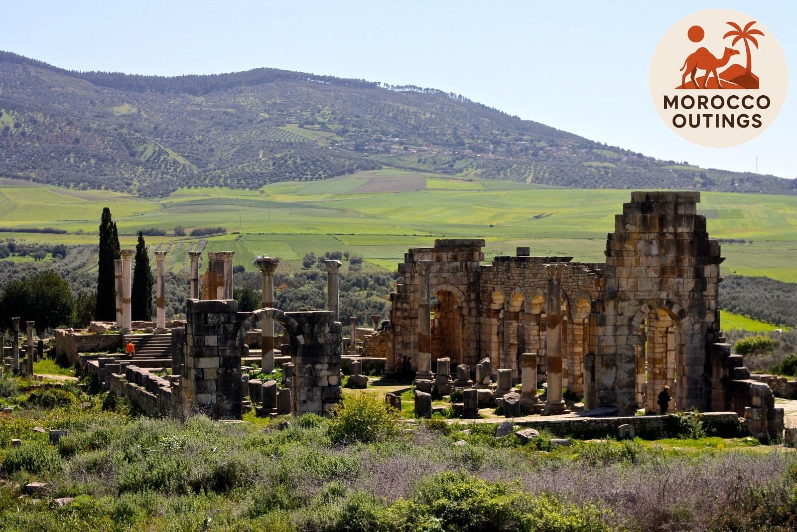 Roman Ruins of Volubilis