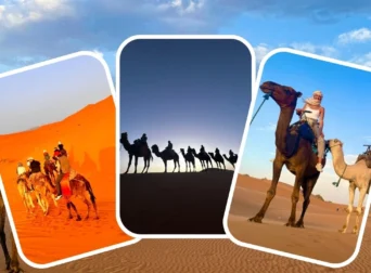 Collage of camel rides in Morocco’s Sahara—caravan led by a blue-robed guide, a smiling rider against sunlit dunes, and a lone rider under a bright blue sky.