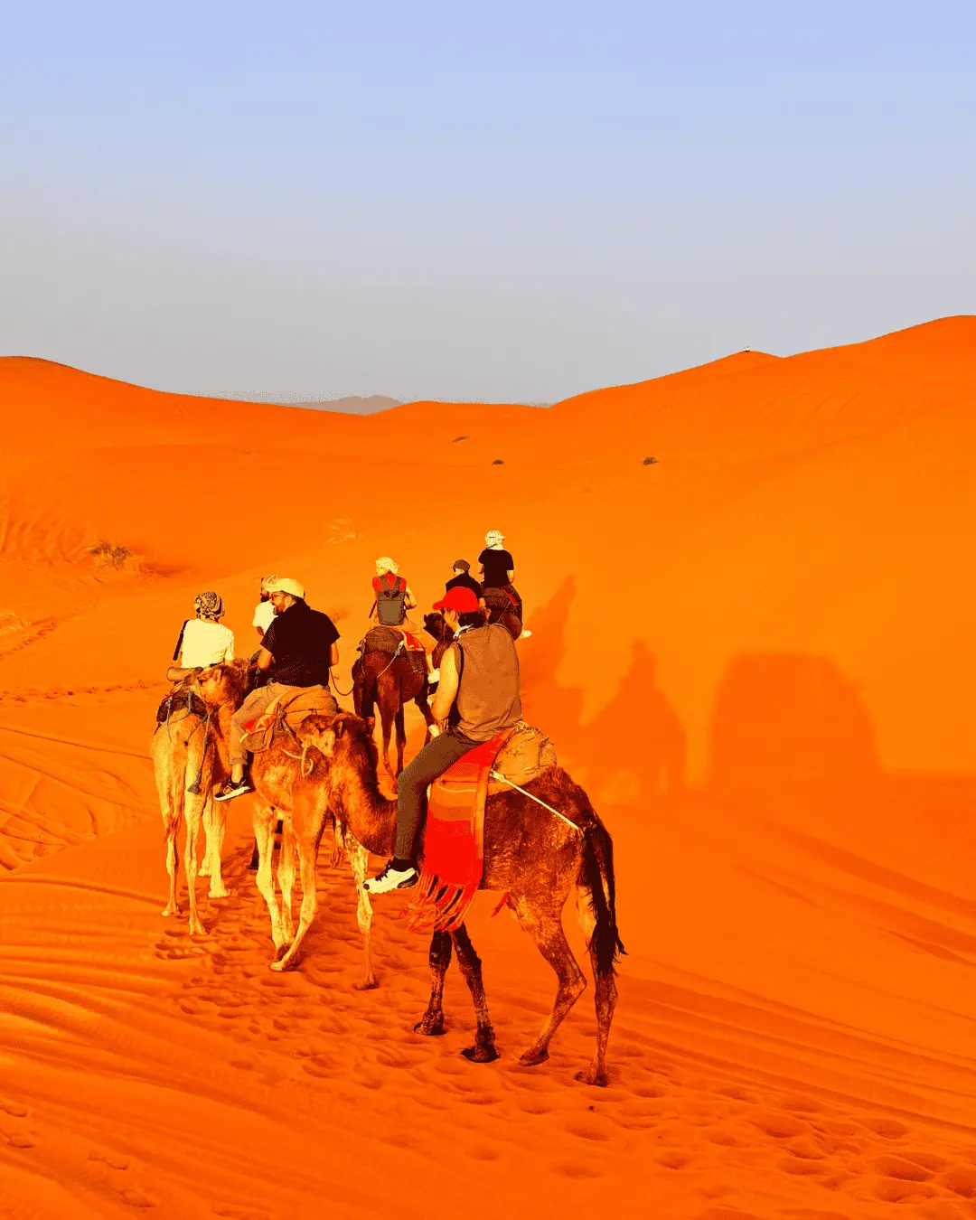 Camel caravan with riders crossing glowing orange Sahara dunes at sunset, long shadows stretching across the sand beneath a pale blue sky.
