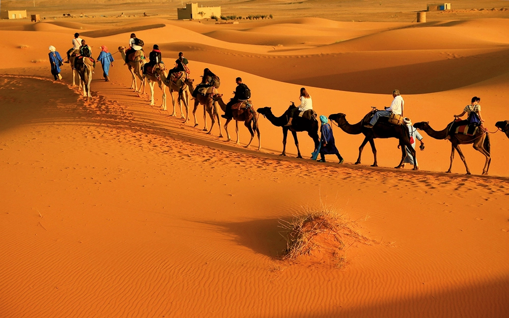 Camel caravan led by local guides crossing orange dunes of the Moroccan Sahara at golden hour.