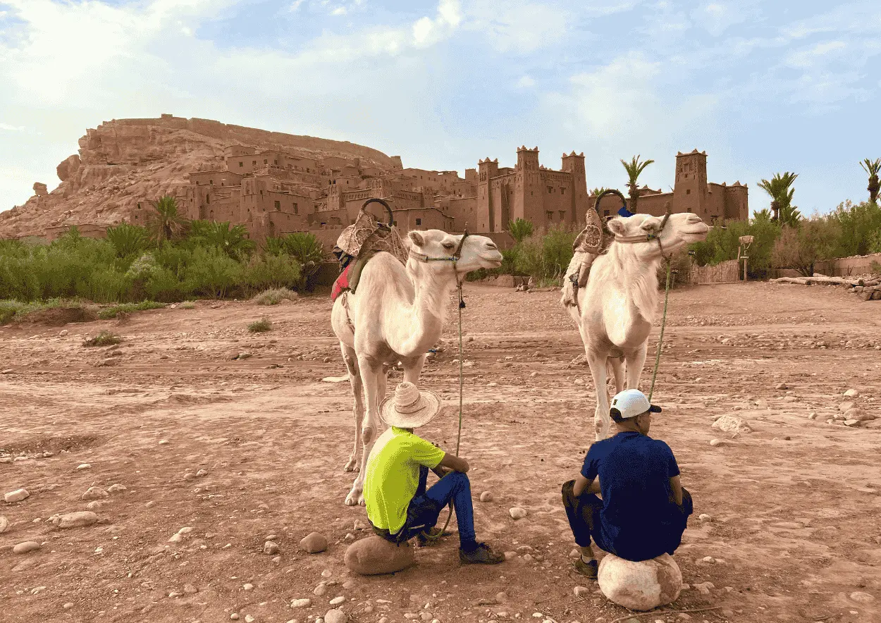 Two men rest on stones beside two white camels, with the mud-brick ksar of Ait Benhaddou and palm trees in the background under a pale blue sky.