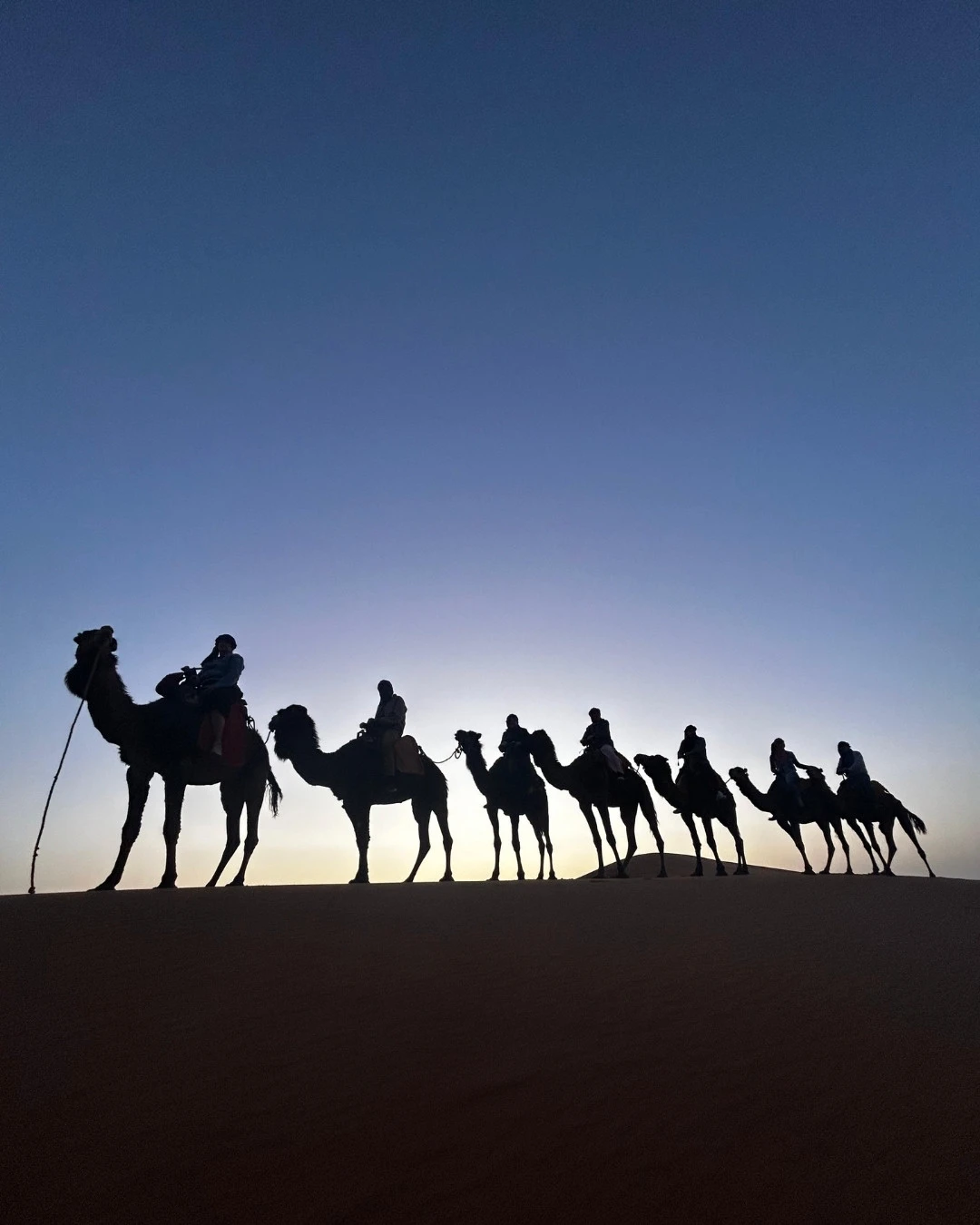 Silhouetted camel caravan walking along a Sahara dune at dusk, riders in single file against a fading blue sky.