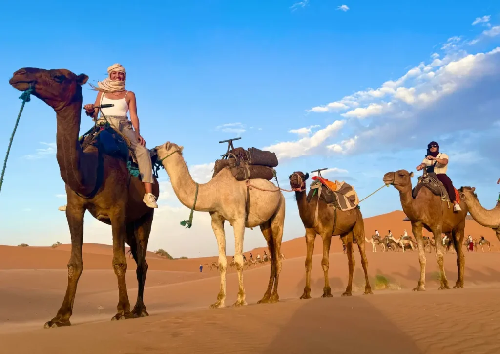 Camel caravan with riders crossing golden Sahara dunes under a bright blue, lightly clouded sky, late afternoon light casting long shadows.