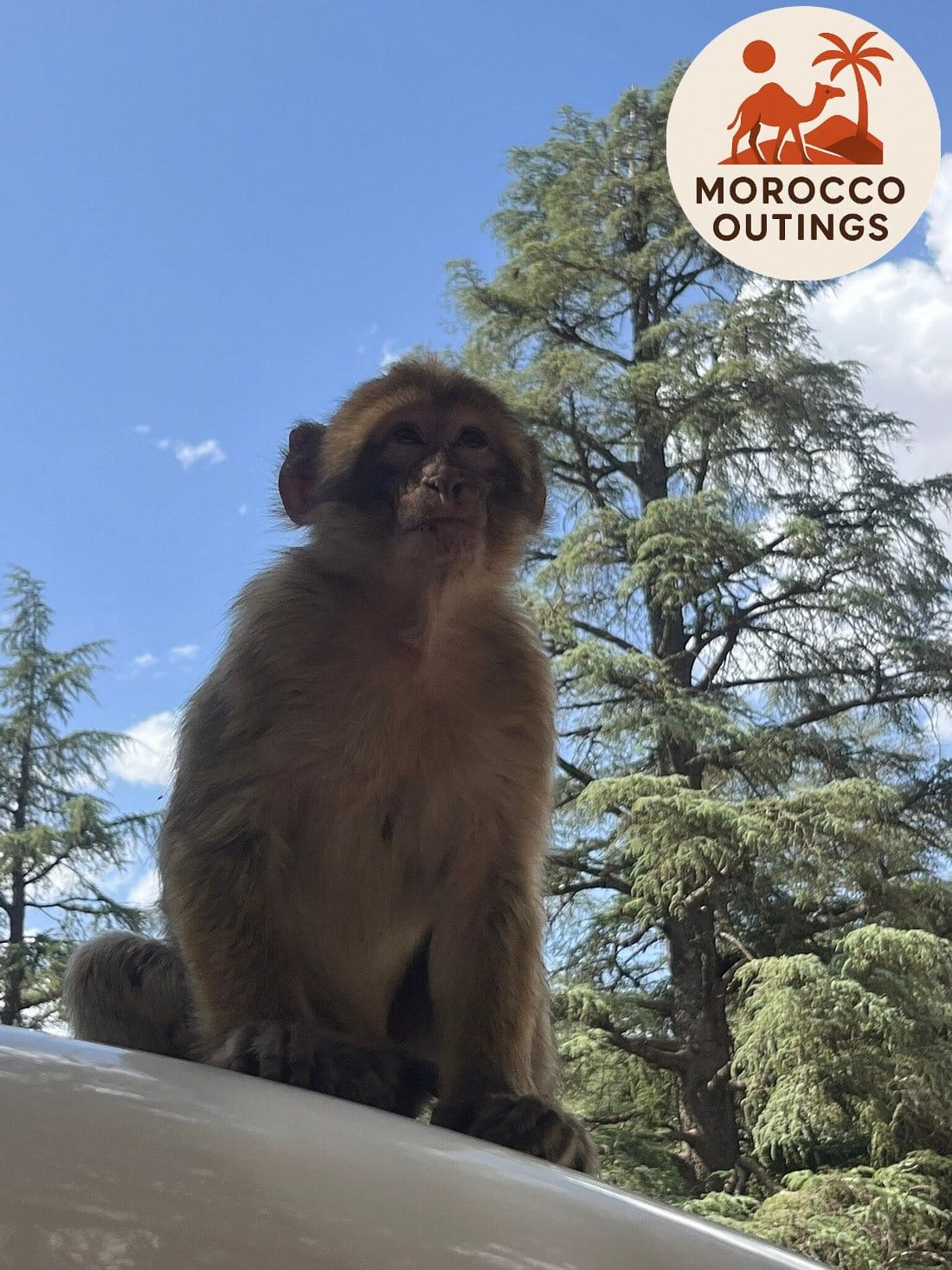 Middle Atlas Mountains