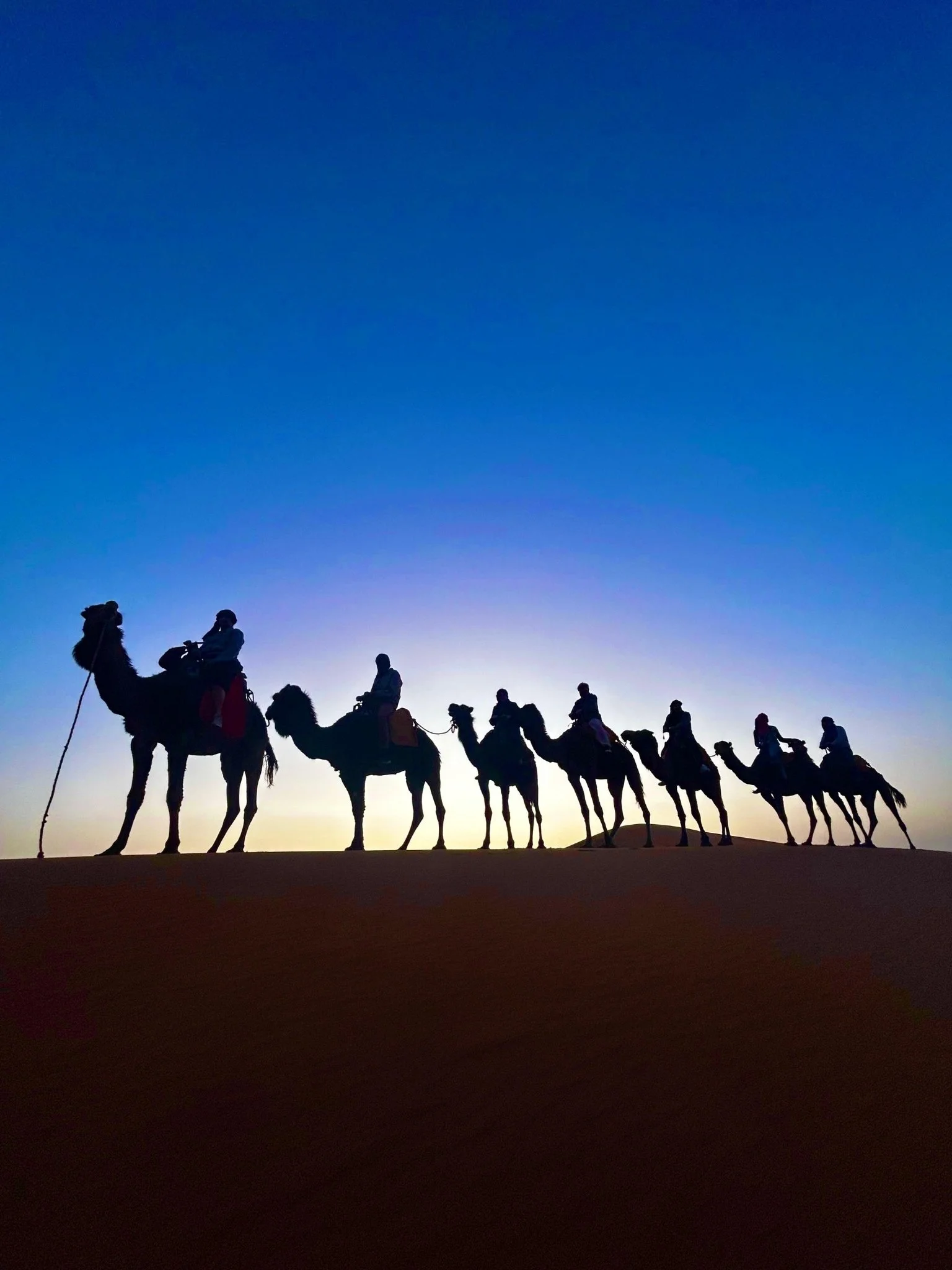 Silhouettes of travelers riding camels over a dune at sunset in the Erg Chebbi