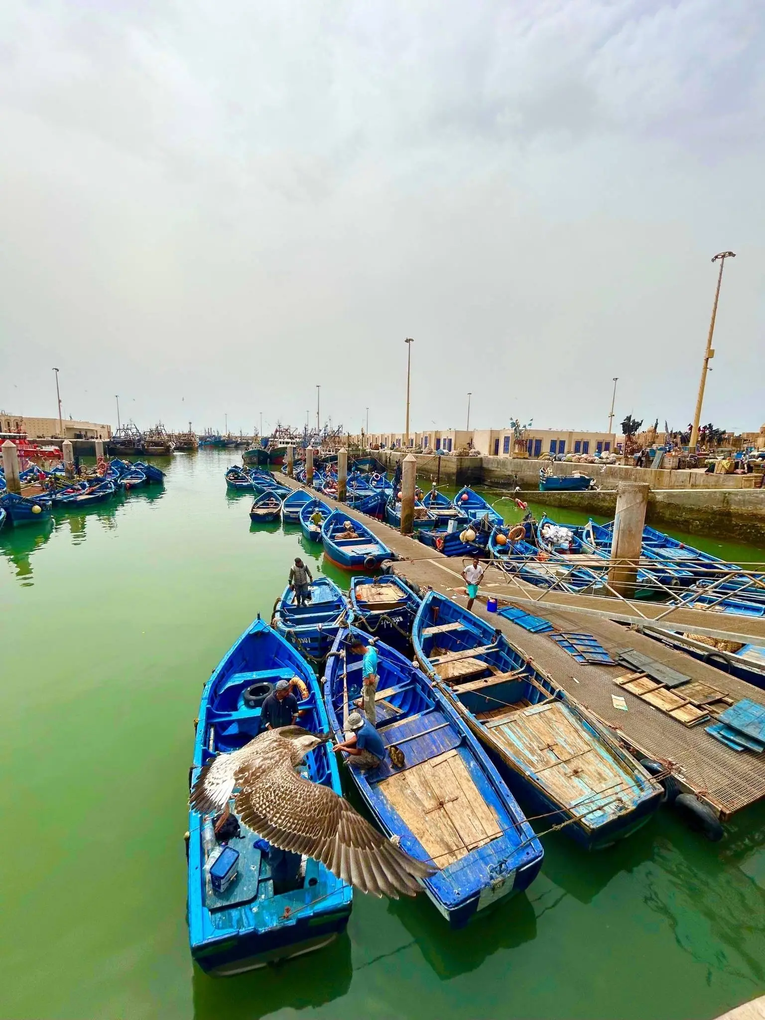 Rows of bright blue wooden fishing boats in Essaouira harbor—coastal stop to consider when allocating days in Morocco.