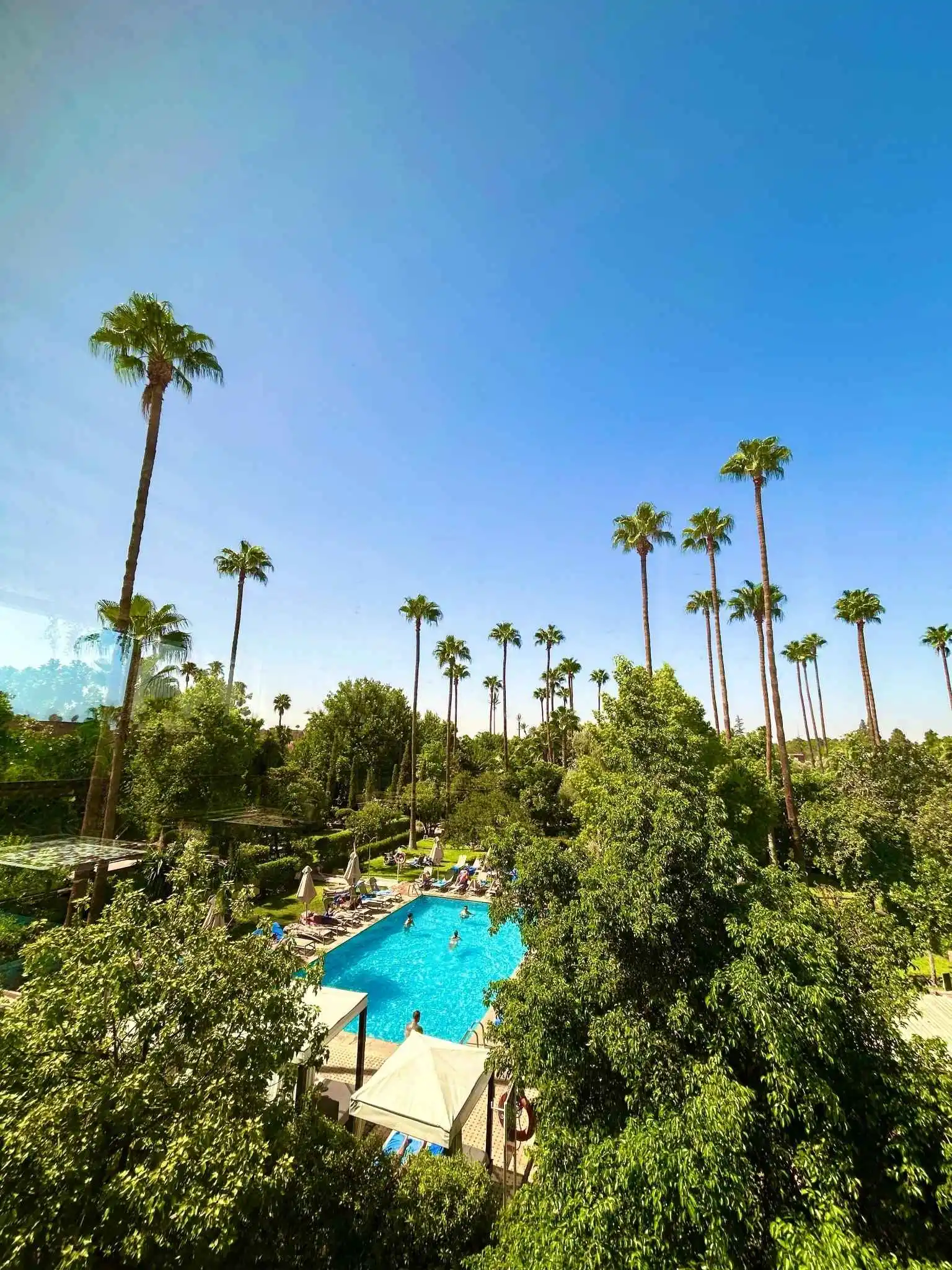 Large hotel pool set in expansive palm gardens—contrast with the intimate scale of a riad.