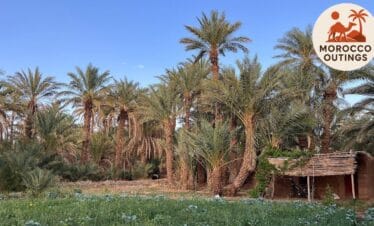 Lush Draa Valley