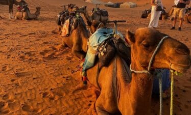 Zagora