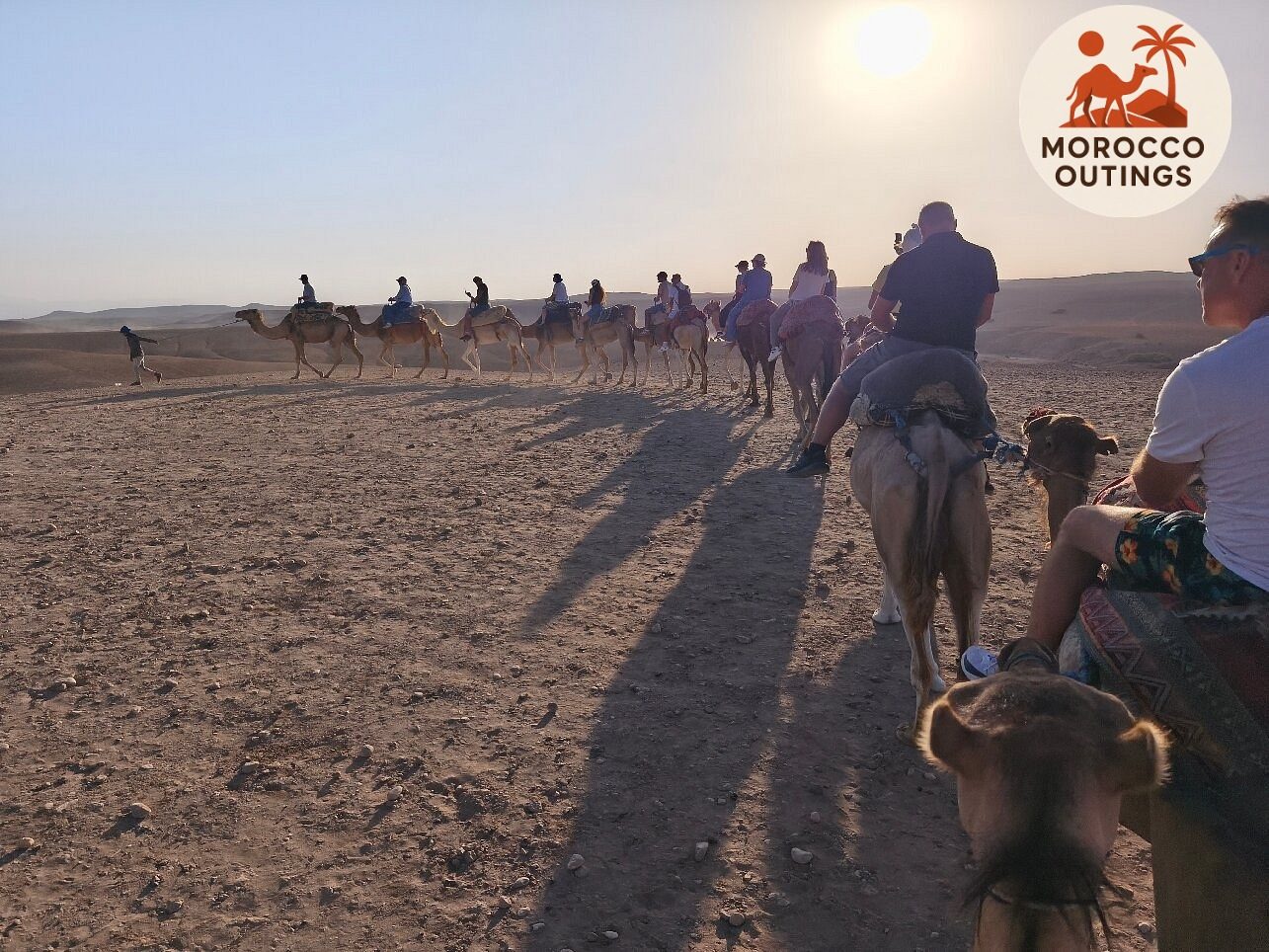 Meet Your Guides & Camel Ride Orientation