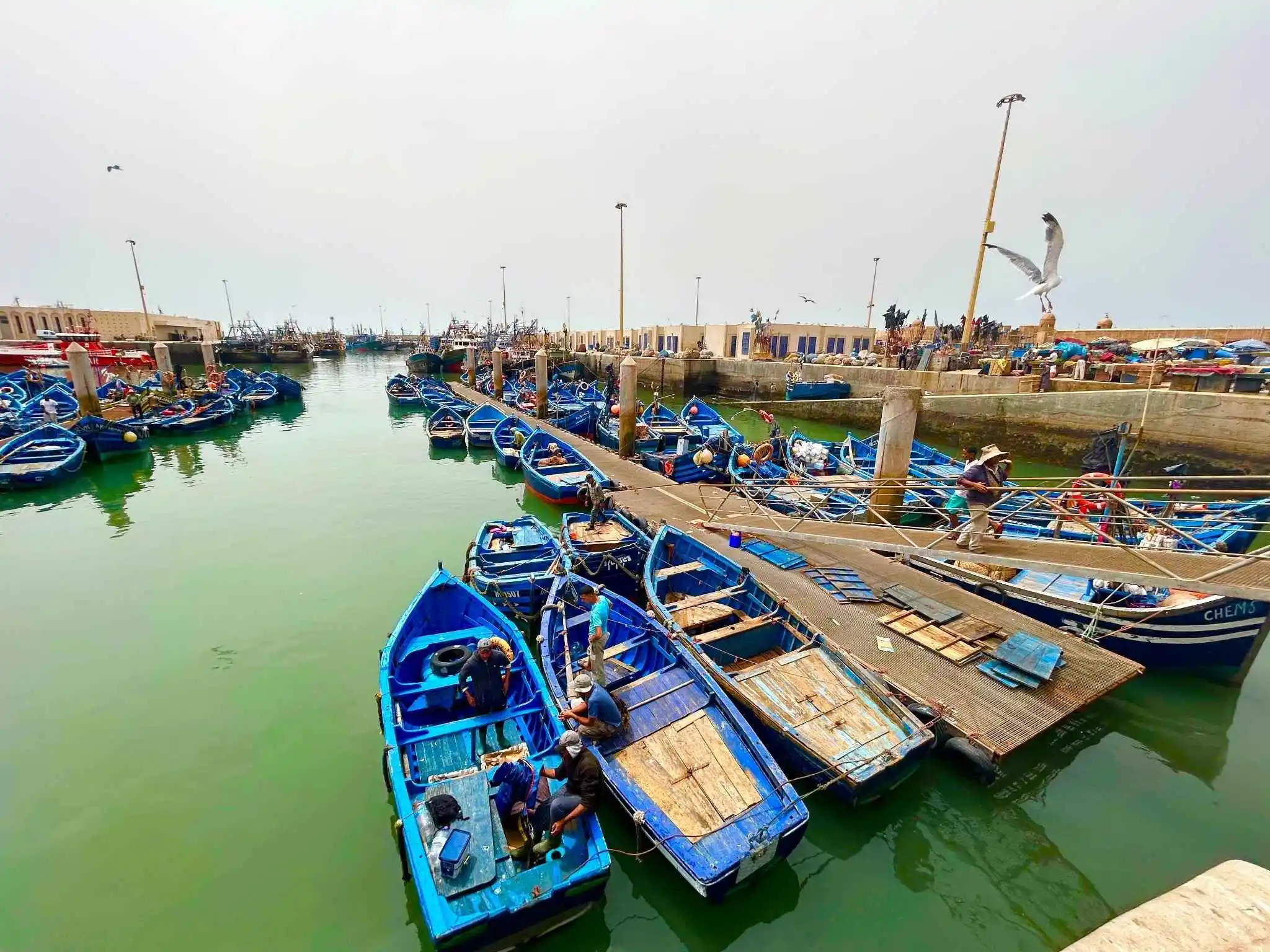 Essaouira fishing port: Rows of bright blue wooden boats crowd the calm harbor, nets and ropes piled on decks. Visitors can explore this lively quay comfortably, with clear signage and friendly crews making it an easy, worry-free stop.