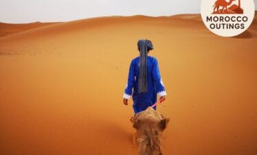 Camel