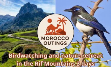 Birdwatching and nature retreat in the Rif Mountains 3 days